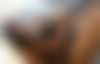 Elisa ? - hidden photo 20