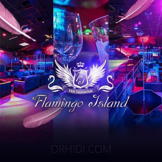 Лучшие Секс вечеринки модели ждут вас - place FKK Flamingo Island - Damen mit Ausweispapieren erhalten 3 Tage freien Eintritt!