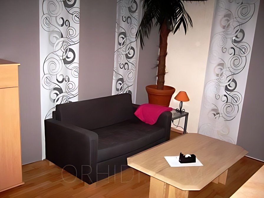 Best Flat for rent Models Are Waiting for You - place Vermietung