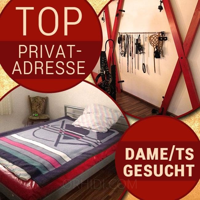 Top Nightclubs in Rhineland-Palatinate - place Selbstständige Damen für Privatadresse gesucht