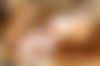 Angelique - Villa G?ttingen ? - hidden photo 4