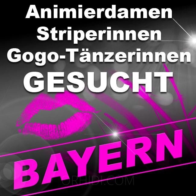 Find the Best BDSM Clubs in Erfurt - place Ab sofort gesucht!