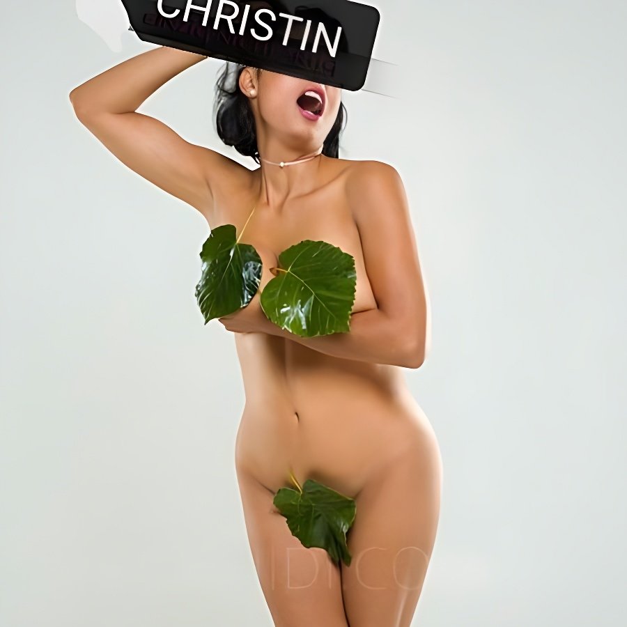 Meet Amazing **CHRISTIN** MANNHEIM: Top Escort Girl - model preview photo 1 