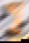 Alexa ? - hidden photo 10