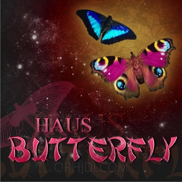 Best Sex parties Models Are Waiting for You - place HAUS BUTTERFLY