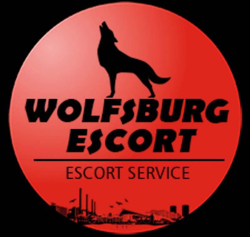 European escort in Lahnstein - model photo Wolfsburg Escort