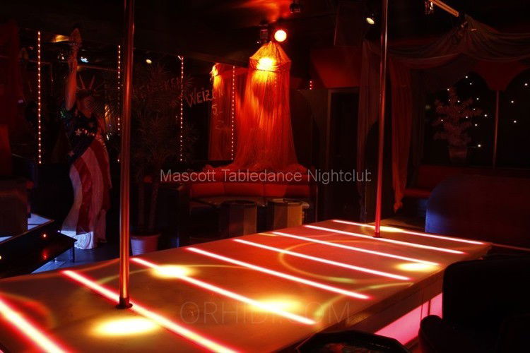 MASCOTT TABLEDANCE & MORE - place photo 8