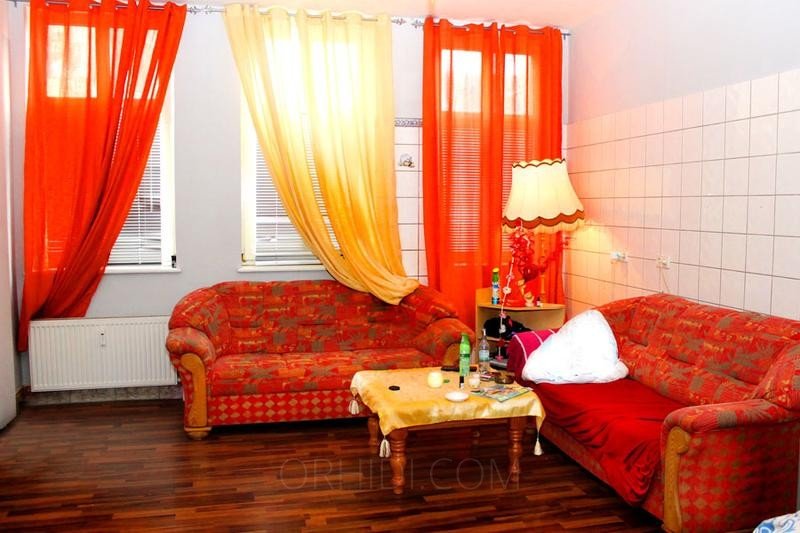 Best Zimmer frei in bekannten, gut eingelaufener Hostessenwohnung in Güstrow - place photo 4