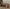 Знакомство с удивительной TS Bell: Лучшая эскорт девушка - hidden photo 1
