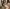 Знакомство с удивительной TS Bell: Лучшая эскорт девушка - hidden photo 0