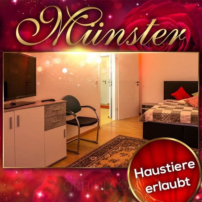 Bester Top Adresse vermietet Zimmer! in Münster - place photo 3