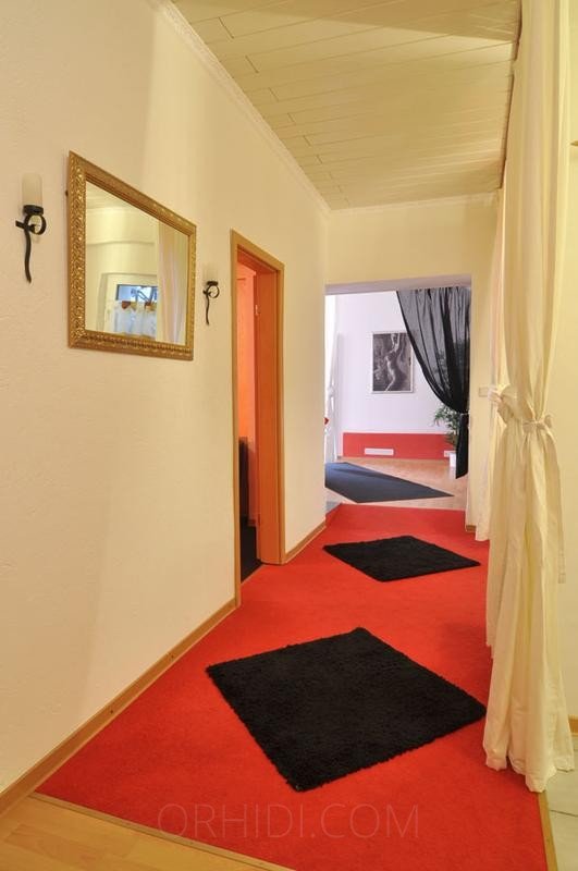 Bester Terminwohnung mit 3 Zimmern zu vermieten in Stuttgart - place photo 6