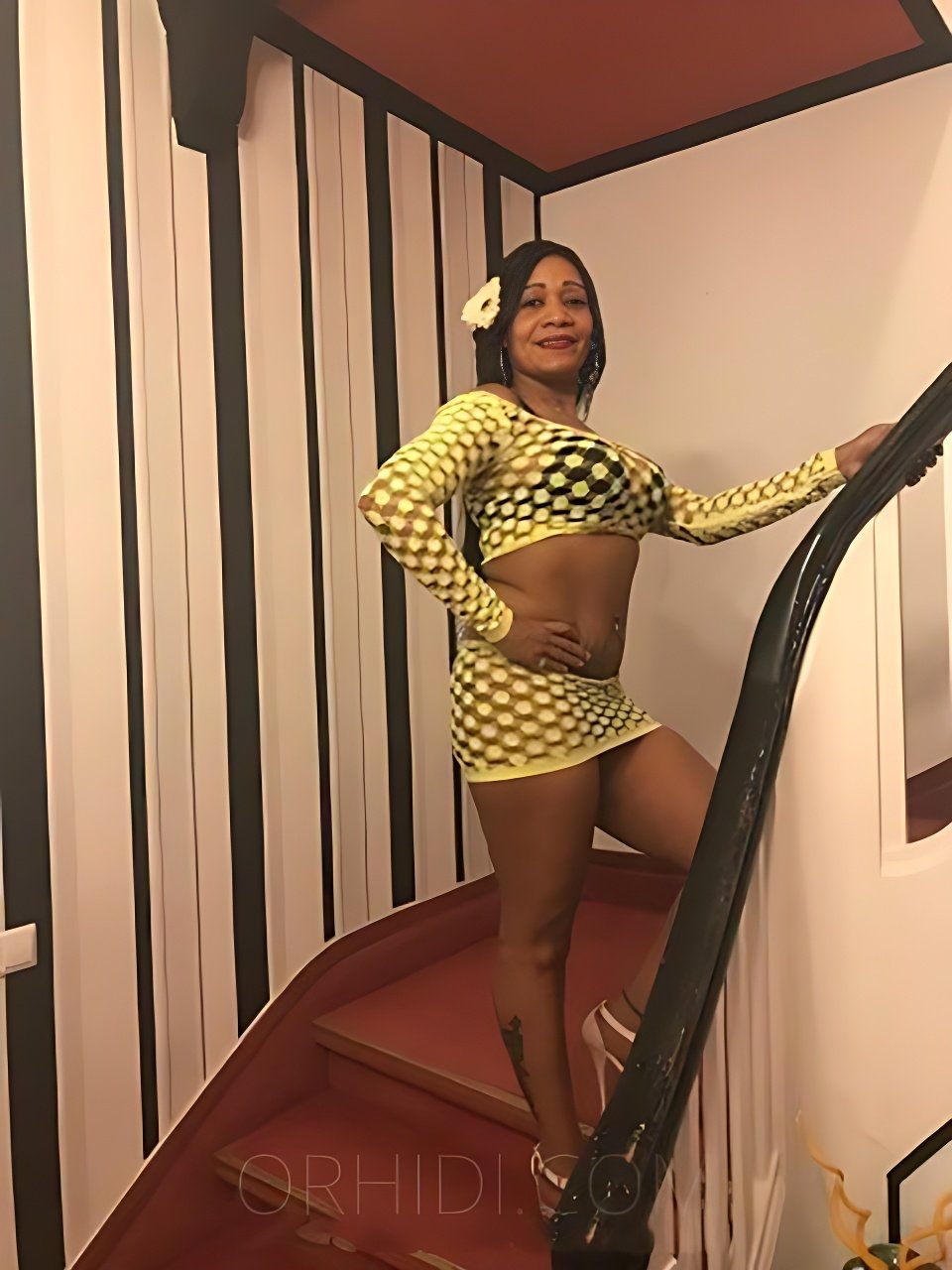 Bisexual escort in Hoofddorp - model photo Alicia - Aus Kuba wieder da