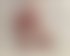 Meet Amazing Geliebte69: Top Escort Girl - hidden photo 4